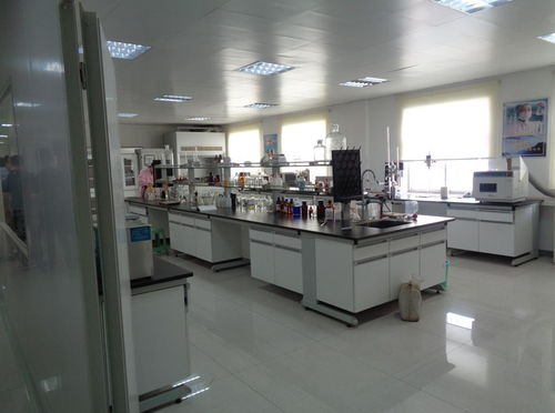 筑牢餐飲安全防線 飲食服務(wù)集團(tuán)食品安全檢查月正式啟動(dòng)